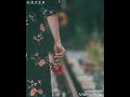 شيلاك في نن عيني