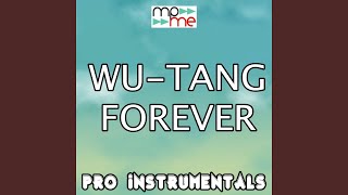 Wu-Tang Forever (Karaoke Version) (Originally Performed by Drake)