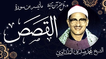 تلاوة من سورة القصص من المسجد الأقصى للشيخ محمد صديق المنشاوى  رحمه الله