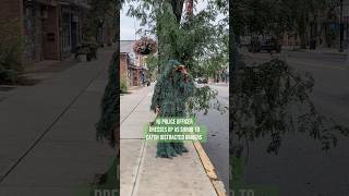 👮‍♂️ Officer Dresses Up As Shrub🌳 to Catch Distracted Drivers | Chill Rob News