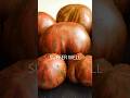 A Delicious Tomato Variety You Can T Miss Tomato Tomatoes Gardening Growingtomatoes A Delicious Tomato Variety You Can T Miss Tomato Tomatoes Gardening Growingtomatoes