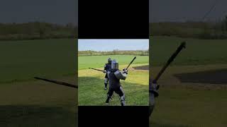 Some Polearm Fun