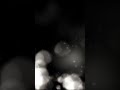 Mysterious Darkness Background #aftereffects #motionbackground #dark