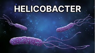 Helicobacter pylori  diagnóstico, tratamiento, síntomas y complicaciones