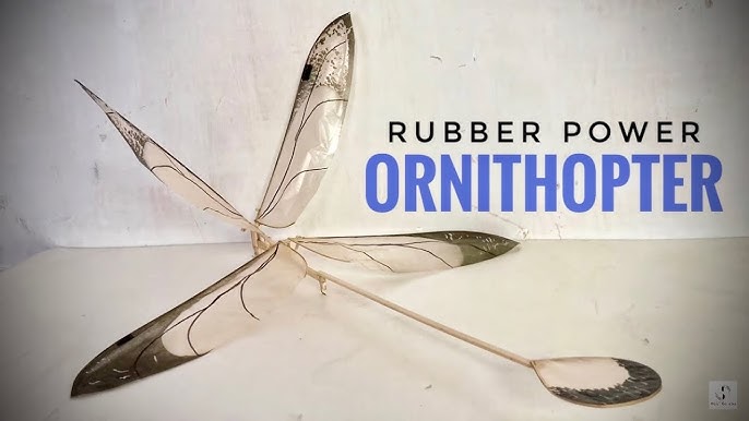 SkateBIRD: passarinhos a grindar com as asinhas a bater – Rubber