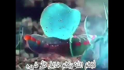 ما اسم القارئ؟! What is the name of this reader?!