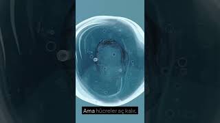 Diyabetin Vücutta Yaptığı Hasarı Biliyor Musun?