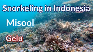 Gelu, Misool, Raja Ampat - 4K Snorkeling in Indonesia