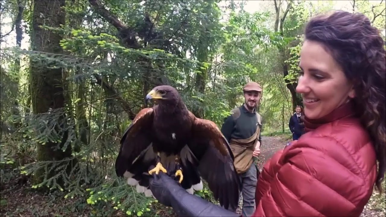 Wilde & Joyce Hawk Walk video