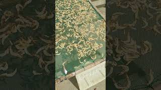 What to eat in Jishan island #fish #food #chinesefood #travel #travelvlog #china #calm