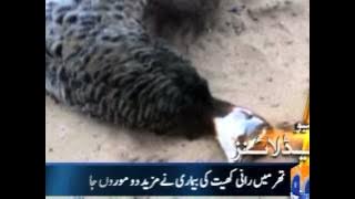 Download lagu Geo Headlines-21 Jul 2013-1300