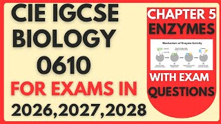 Cambridge IGCSE biology 0610 :Enzymes (full topic) plus exam questions answered.