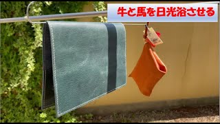 【プレメンテ】栃木レザーとホースハイドを日光浴させる