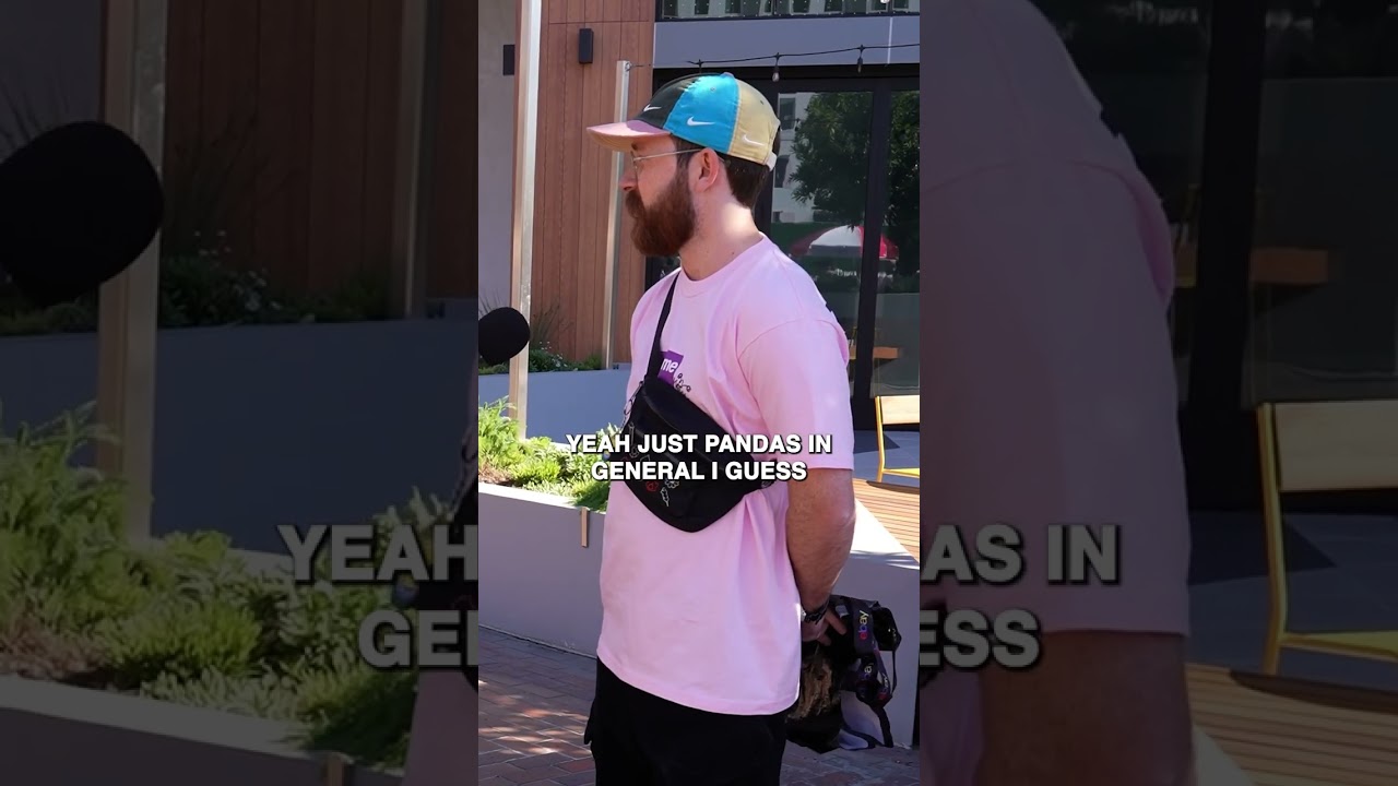 Are Panda Dunks the most OVERRATED shoe??