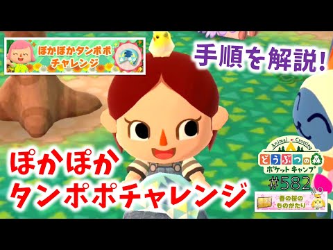 ポケ 森 たんぽぽ