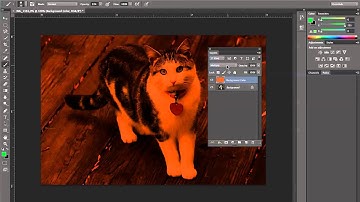 Add Color Layer and Adjust Layer Blend Mode and Opacity in Photoshop CS6
