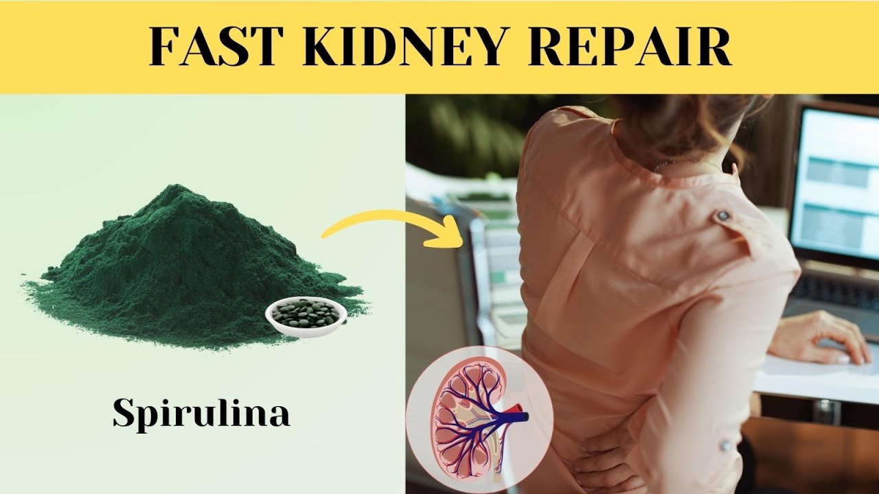 What Happens If Kidney Patients Consume Spirulina For 30 Days Pure what-happens-if-kidney-patients-consume-spirulina-for-30-days-pure