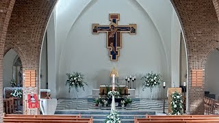 Preview of stream Immaculate Conception - Bicester