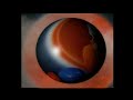 Акуэна - Марс (Официальное видео)