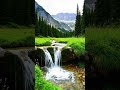 Hidden Alpine Stream Where Time Slows Down 🌿💧 #NatureEscape #RelaxingNature #CalmMind