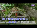 重逢酒 陳雷 甲子慧 合原調 伴奏 導唱丙 重逢酒 陳雷 甲子慧 合原調 伴奏 導唱丙