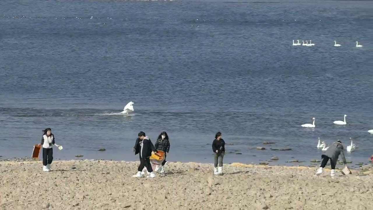 고니먹이주는 고마운분들