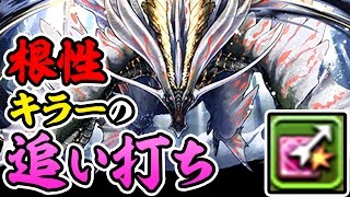 【強すぎ】新覚醒「追加攻撃」で根性キャラが怖くない！【パズドラ】