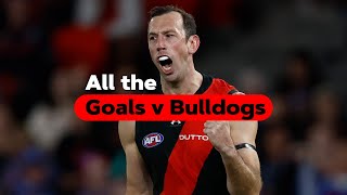 All the goals: Dons v Dogs | Rd 5