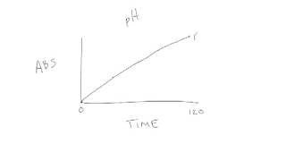 BIO 161 Enzyme Lab _graph