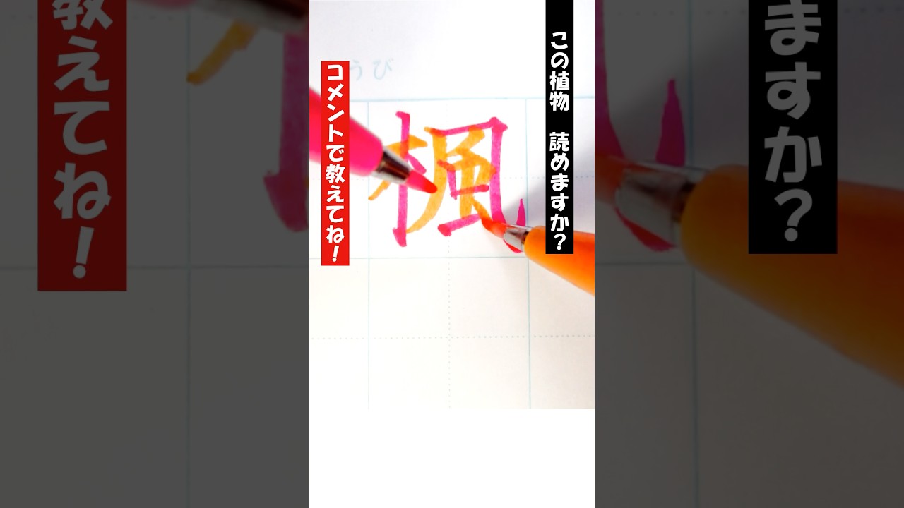 【二刀流】「楓」書いてみた! #両手書き #両利き #美文字 #難読漢字 #漢字クイズ #筆touchサインペン