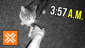 Trying The 3:30 A.M. Shift - Amazon Flex