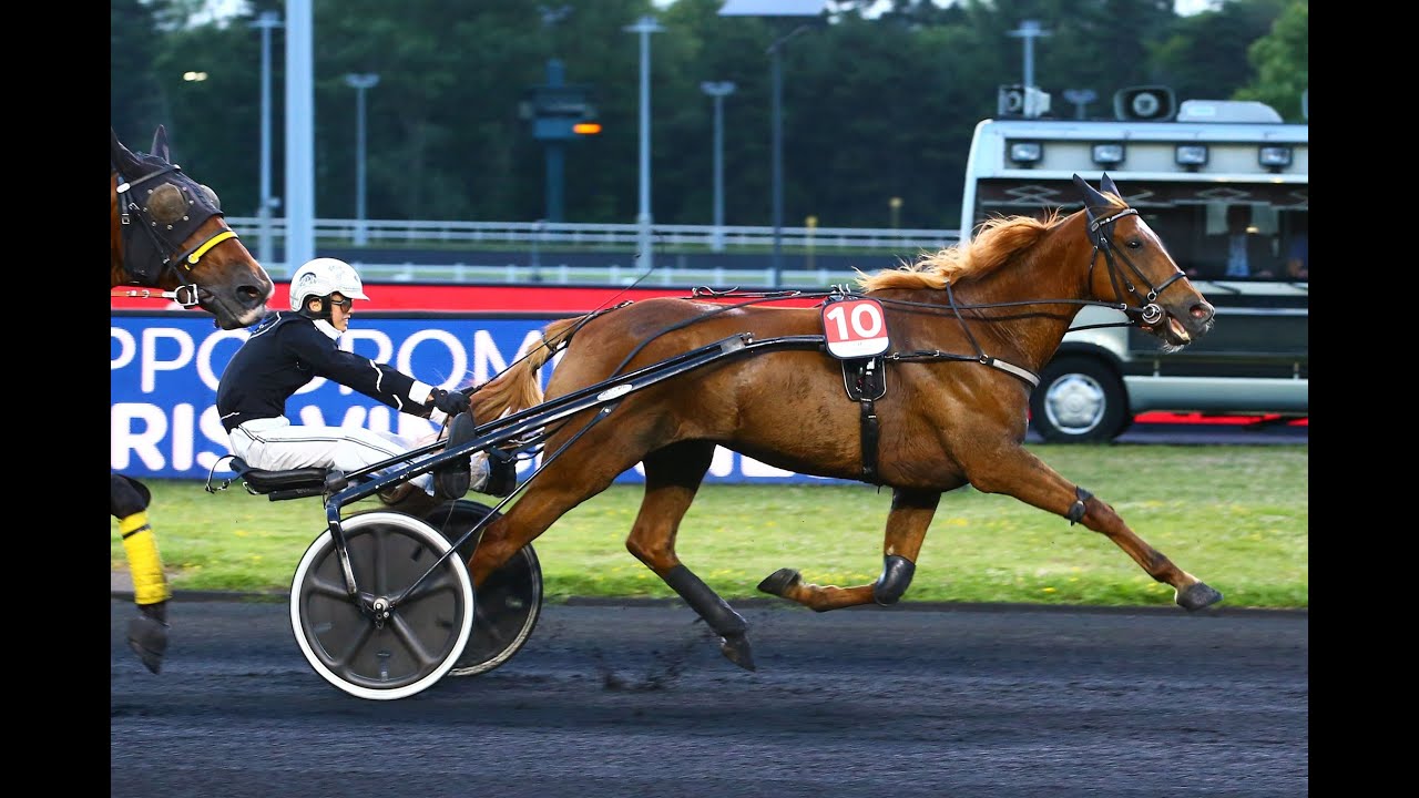 [COURSE ÉCOLE] Finale des courses école - Paris Vincennes - 24 juin 2022 - TROT