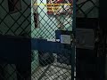 Electronic Door Control with Remote.