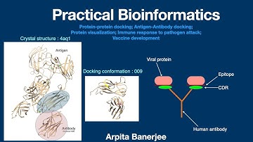 Antigen-antibody docking; Immune response to pathogen; Homology modelling; Protein visualization