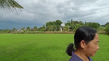 Câu Cá Giải Trí Anh Tú - Xã Lang Minh - Huyện Xuân Lộc - Đồng Nai