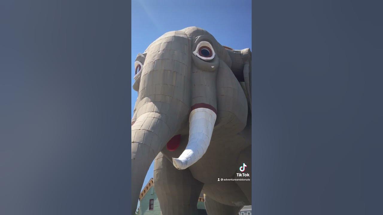 I Love Lucy the Elephant: America's oldest surviving roadside attraction  has welcomed visitors to the Jersey Shore since 1881 - Roadtrippers