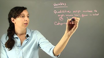 Quantitative vs. Categorical Variables : Chemistry Help