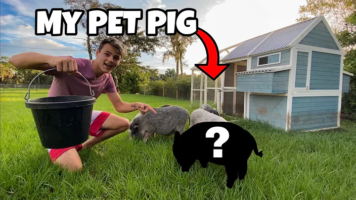 The Internet FOUND My Lost Pet Pig....