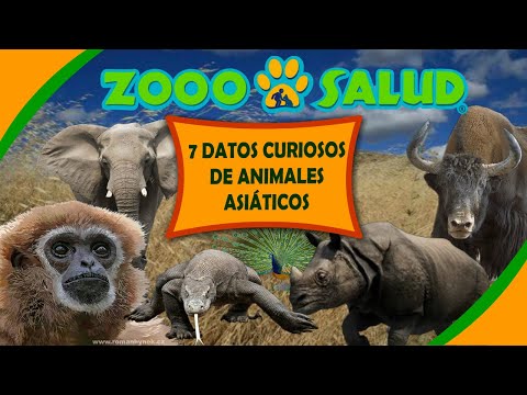 7 Datos Curiosos de Animales de Asia