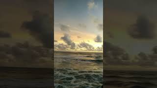 Download Lagu wahai ikan kampret mancing ikan kampret MP3