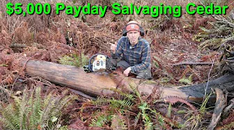 Cedar Salvage $5000 Payday??