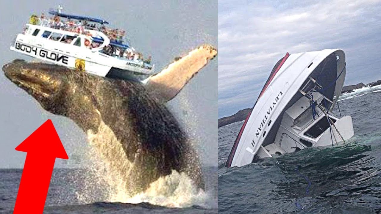 10 Moments You Wouldn't Believe If They Weren't Recorded! - YouTube