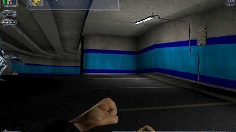 Deus Ex: The nameless mod. Random crap.