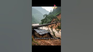 Cặp vợ chồng bị cây đổ đè tử vong trong rẫy