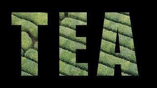 Chinese Tea and Tea Culture | Ping Pong Talk