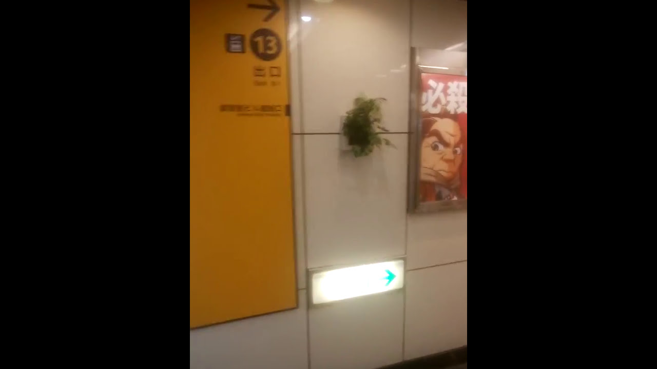 花屋への道順 地下鉄なんば駅 13番出口から徒歩２分 12番出口は閉鎖中 Youtube