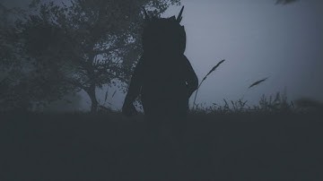 Dusk- Logarithmic spirals(Official Video)