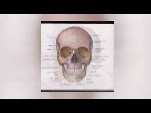 𝙡𝙖𝙪𝙧𝙖 𝙡𝙚𝙨 𝙃𝙖𝙪𝙣𝙩𝙚𝙙 𝙨𝙪𝙥𝙚𝙧 𝙨𝙡𝙤𝙬𝙚𝙙 𝙗𝙚𝙨𝙩 𝙥𝙖𝙧𝙩 𝙏𝙞𝙠𝙩𝙤𝙠 𝙫𝙚𝙧𝙨𝙞𝙤𝙣