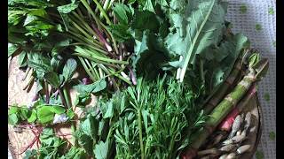 Edible Basket Of Late Aprilearly May Aggressor On A Plate Green Cutlets