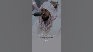 أمن يجيب المضطر إذا دعاه 🥺🤍 تلاوة خاشعة للقارئ #ماهر_المعيقلي #ماهرالمعيقلي #قرآن #قران